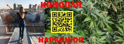 соль ск Гатчина