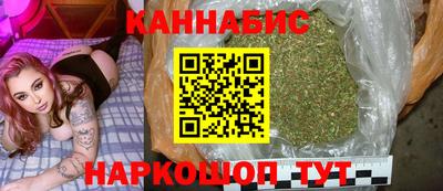 spice Гай